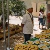 Montevago 2010 (492)